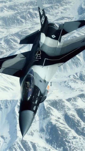 Fondo de pantalla F-16 Fighting Falcon 360x640