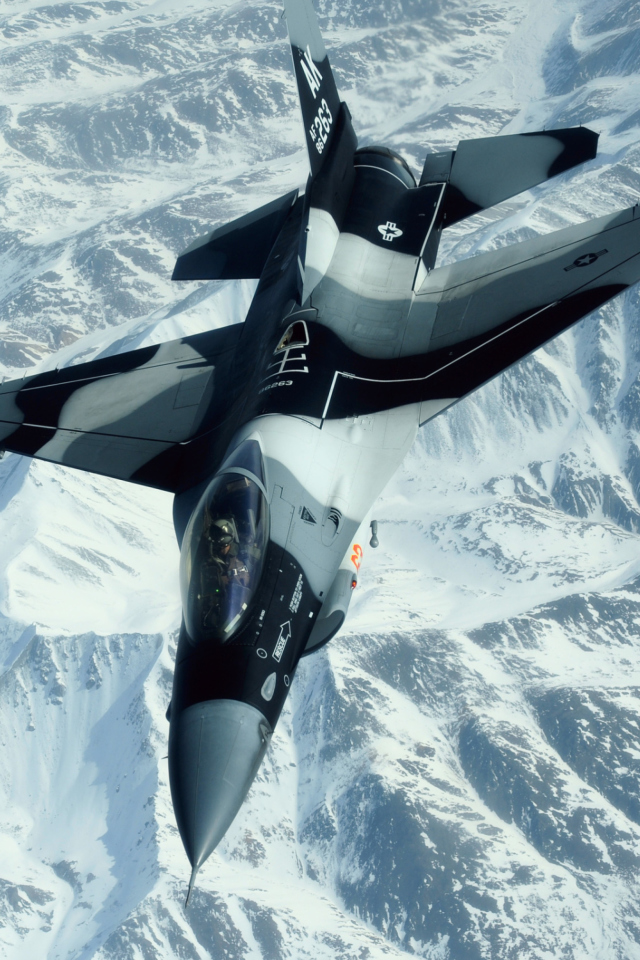 F-16 Fighting Falcon wallpaper 640x960