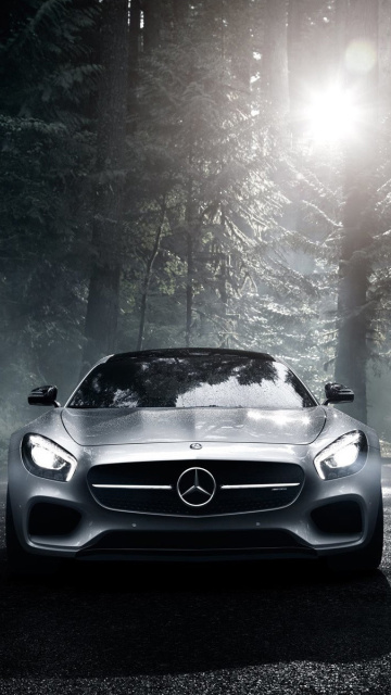 Fondo de pantalla 2016 Mercedes Benz AMG GT S 360x640