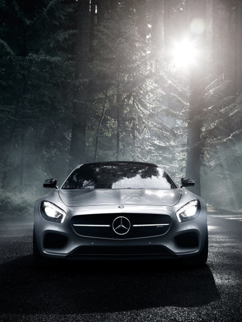 Screenshot №1 pro téma 2016 Mercedes Benz AMG GT S 480x640