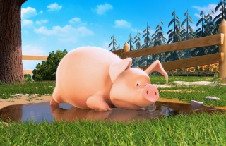 Cute Pig - Fondos de pantalla gratis 
