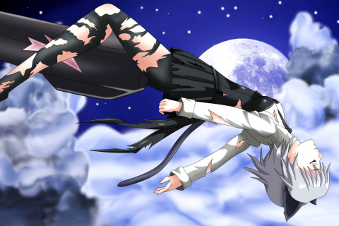 Strike Witches wallpaper 480x320