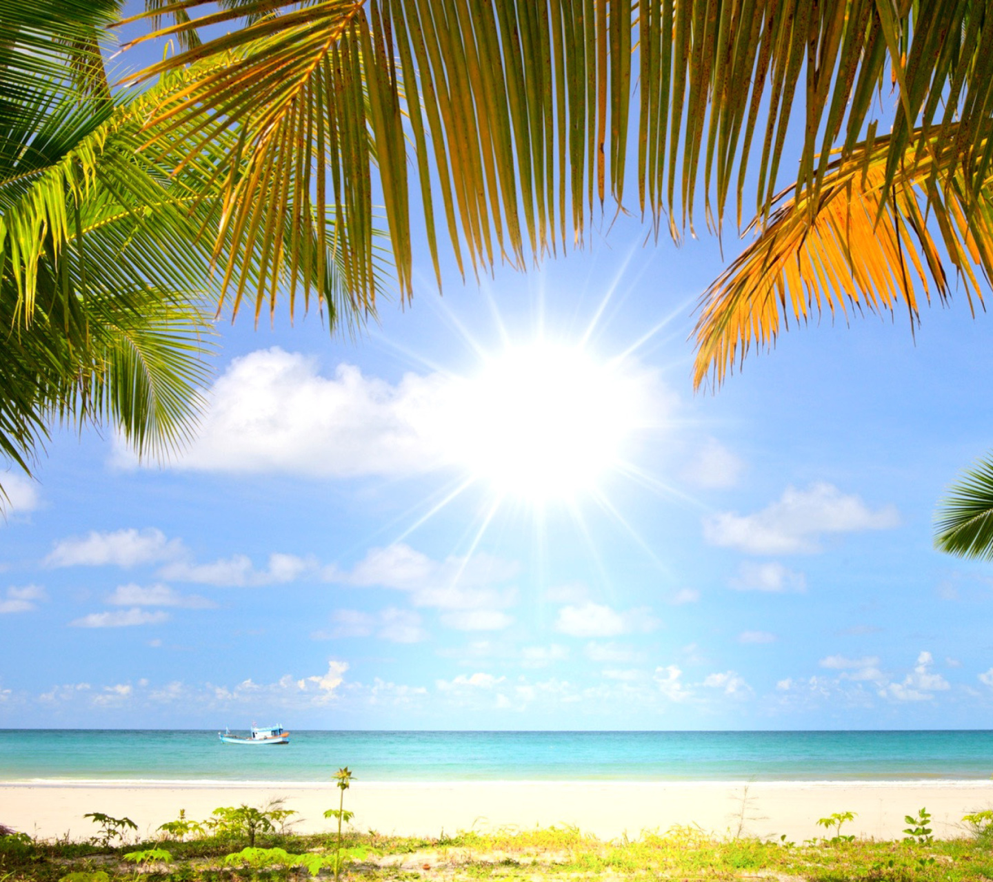 Summer Beach with Palms HD wallpaper 1440x1280
