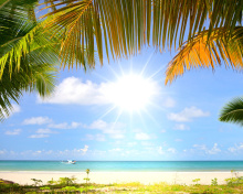 Fondo de pantalla Summer Beach with Palms HD 220x176