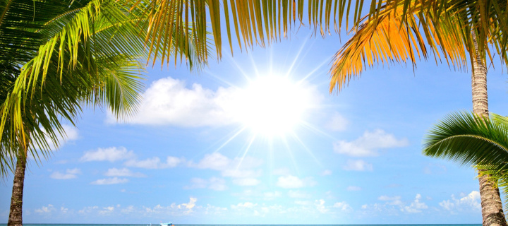 Screenshot №1 pro téma Summer Beach with Palms HD 720x320
