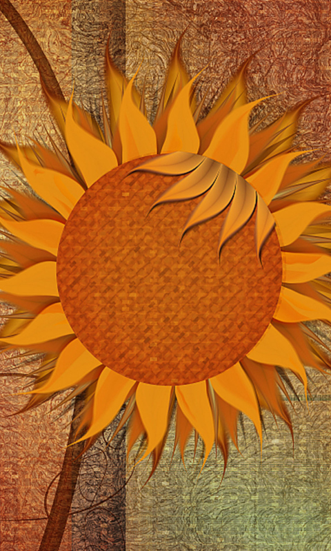 Sunflower wallpaper 480x800