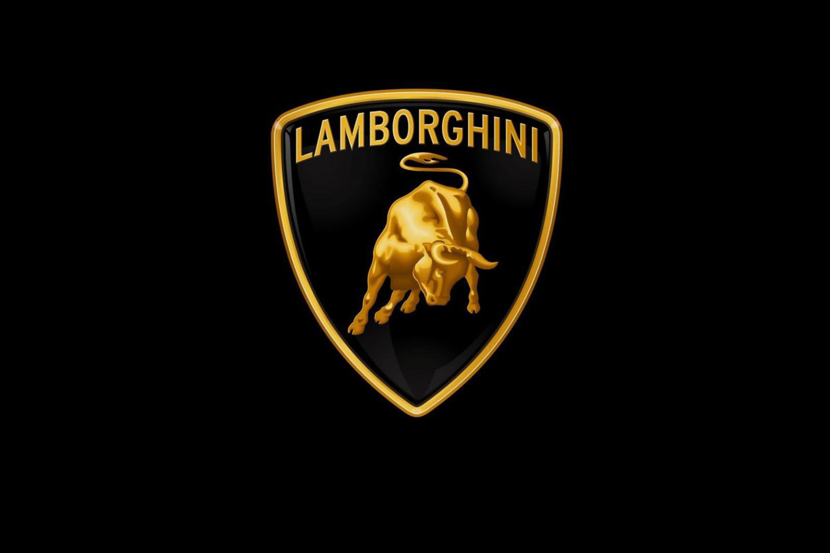 Обои Lamborghini Logo 2880x1920