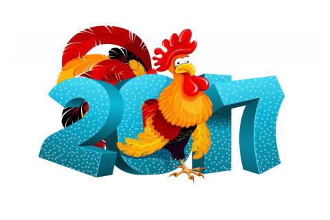 Sfondi 2017 New Year Chinese Horoscope Red Cock Rooster 480x320