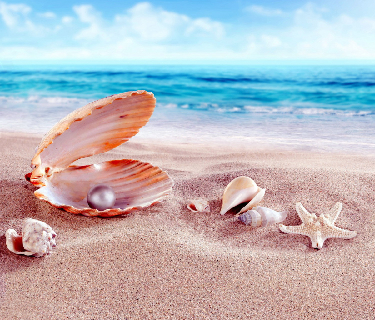 Shells and pearl wallpaper 1200x1024