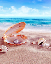 Shells and pearl screenshot #1 176x220