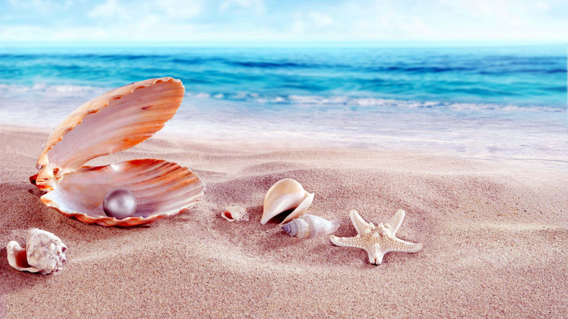 Fondo de pantalla Shells and pearl 1920x1080