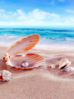 Shells and pearl wallpaper 240x320