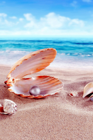 Shells and pearl wallpaper 320x480