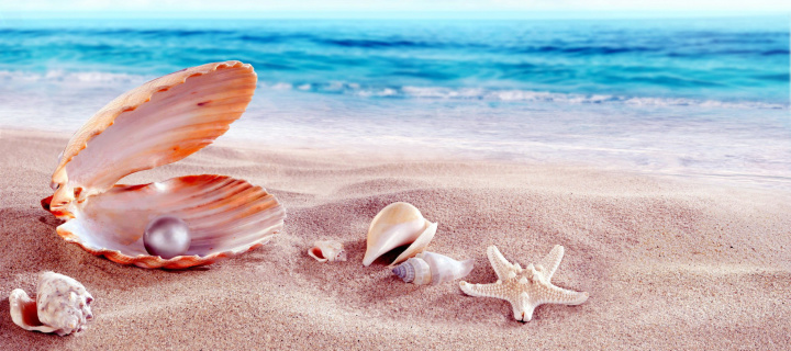 Shells and pearl screenshot #1 720x320