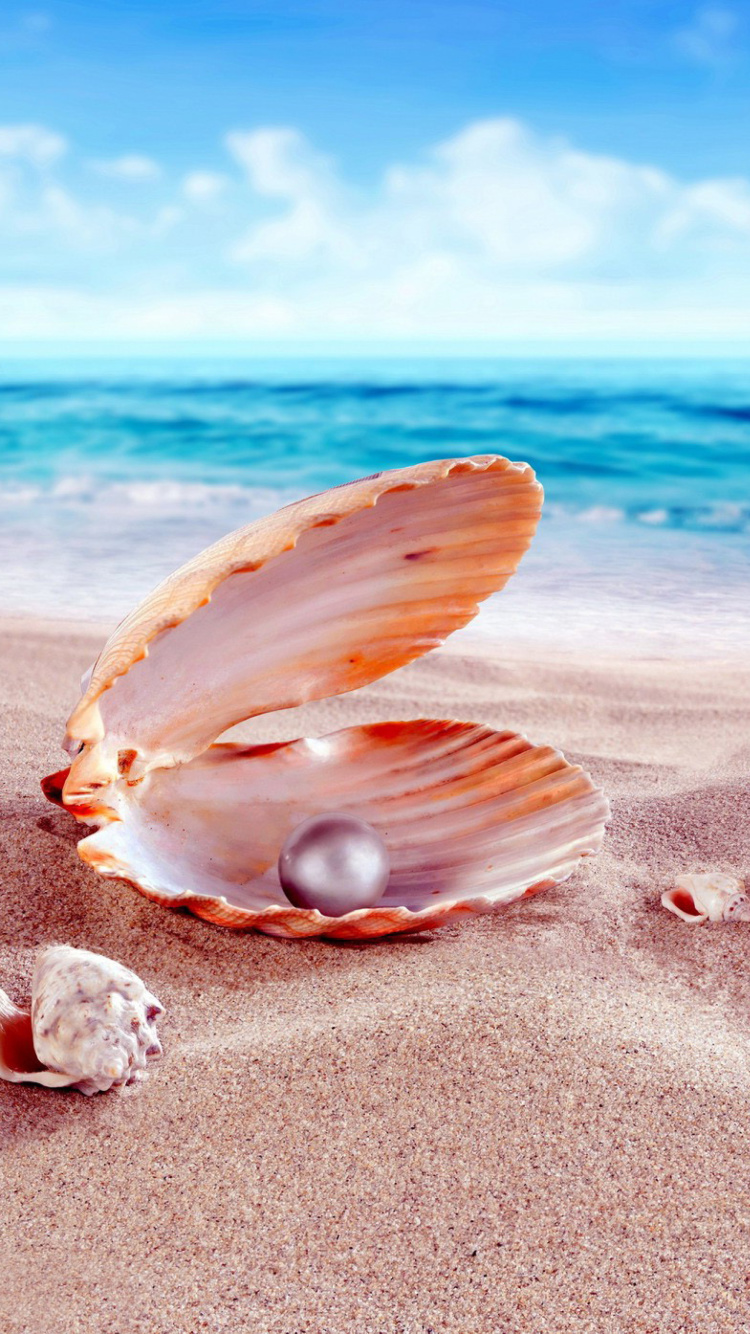 Shells and pearl wallpaper 750x1334