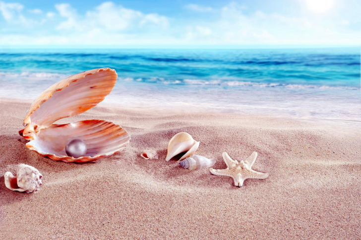 Shells and pearl wallpaper