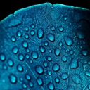 Screenshot №1 pro téma Macro Water Drops On Blue Leaf 128x128