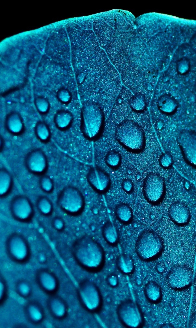 Macro Water Drops On Blue Leaf wallpaper 768x1280