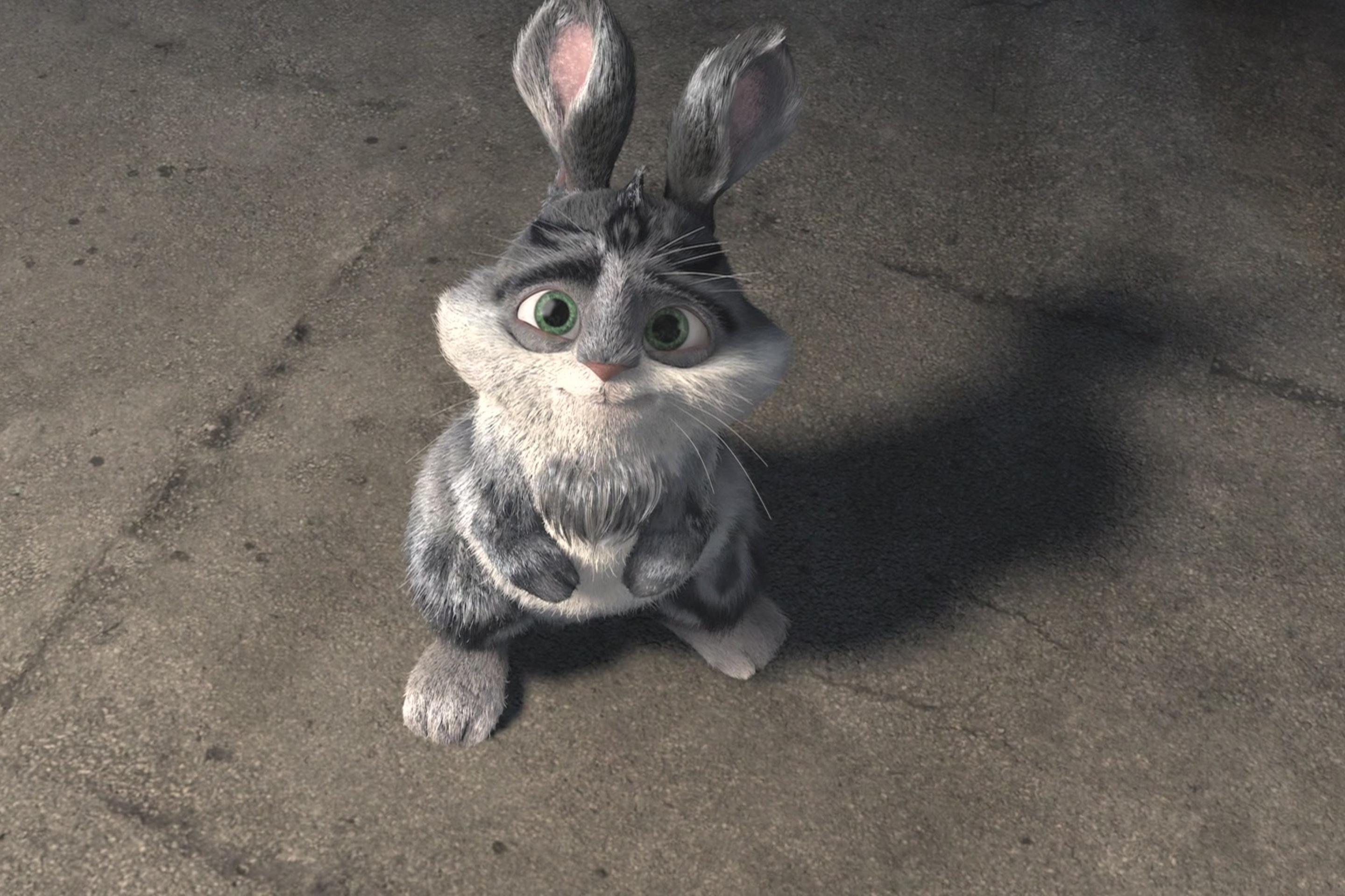 Обои Sad Rabbit 2880x1920