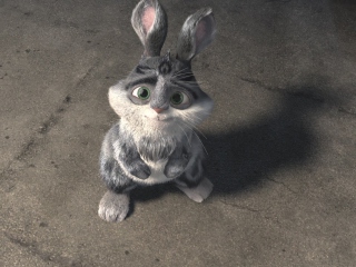 Fondo de pantalla Sad Rabbit 320x240