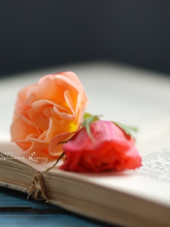 Sfondi Book Of Roses 240x320