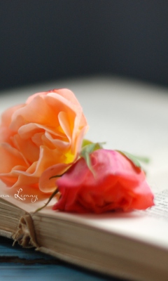Sfondi Book Of Roses 240x400