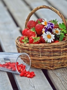 Обои Strawberry Basket 132x176