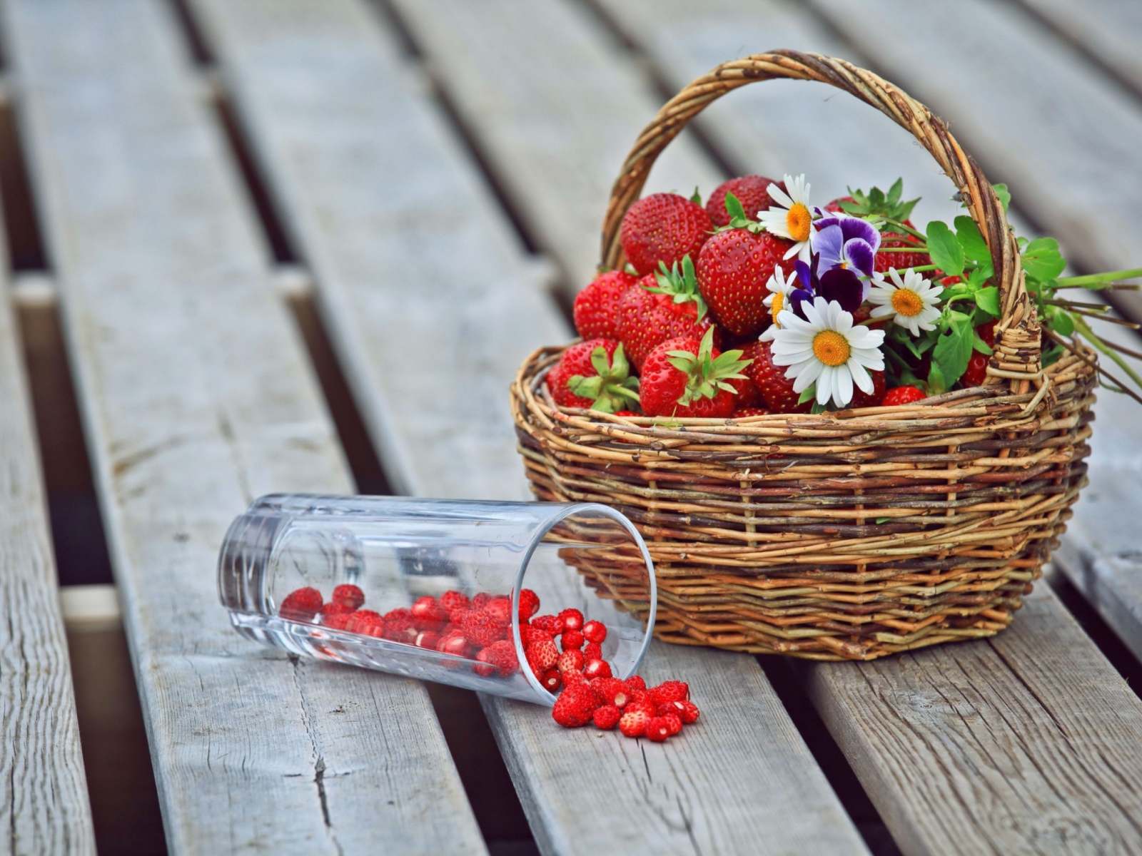 Strawberry Basket screenshot #1 1600x1200