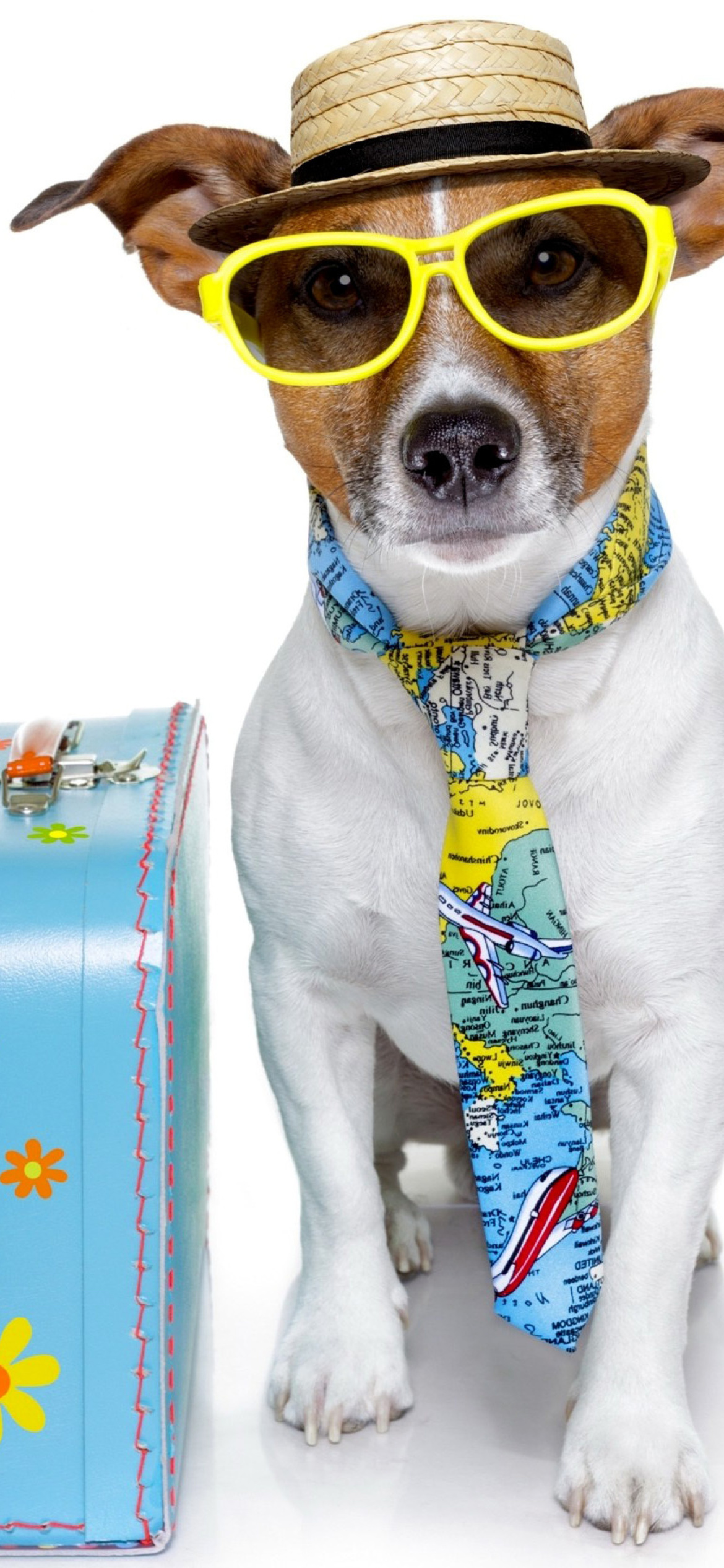 Funny dog going on holiday wallpaper 1170x2532