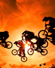 Das Bikers In The Sun Wallpaper 176x220