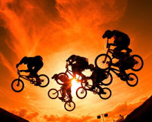 Sfondi Bikers In The Sun 220x176