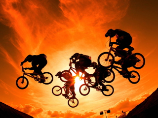 Das Bikers In The Sun Wallpaper 320x240