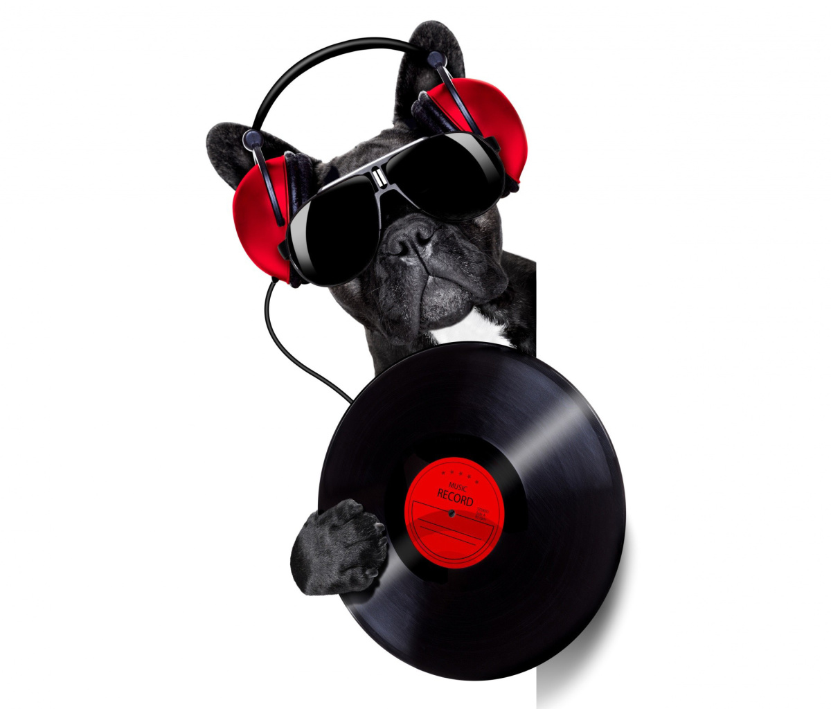 Обои DJ Dog 1200x1024