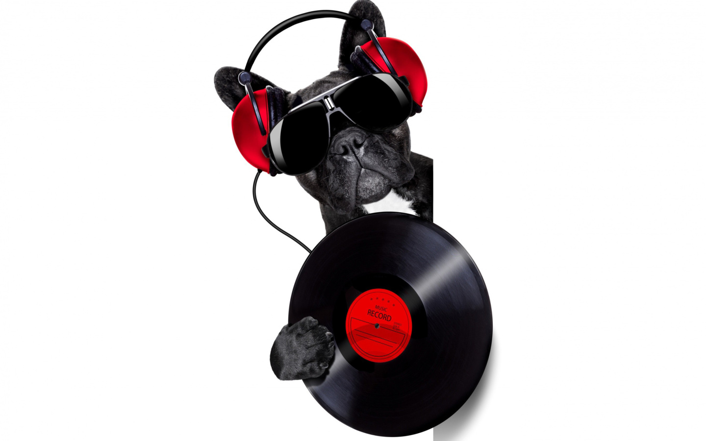 Обои DJ Dog 1440x900