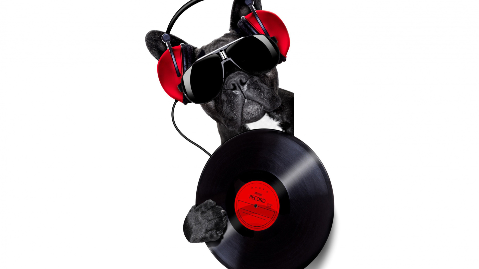Обои DJ Dog 1920x1080