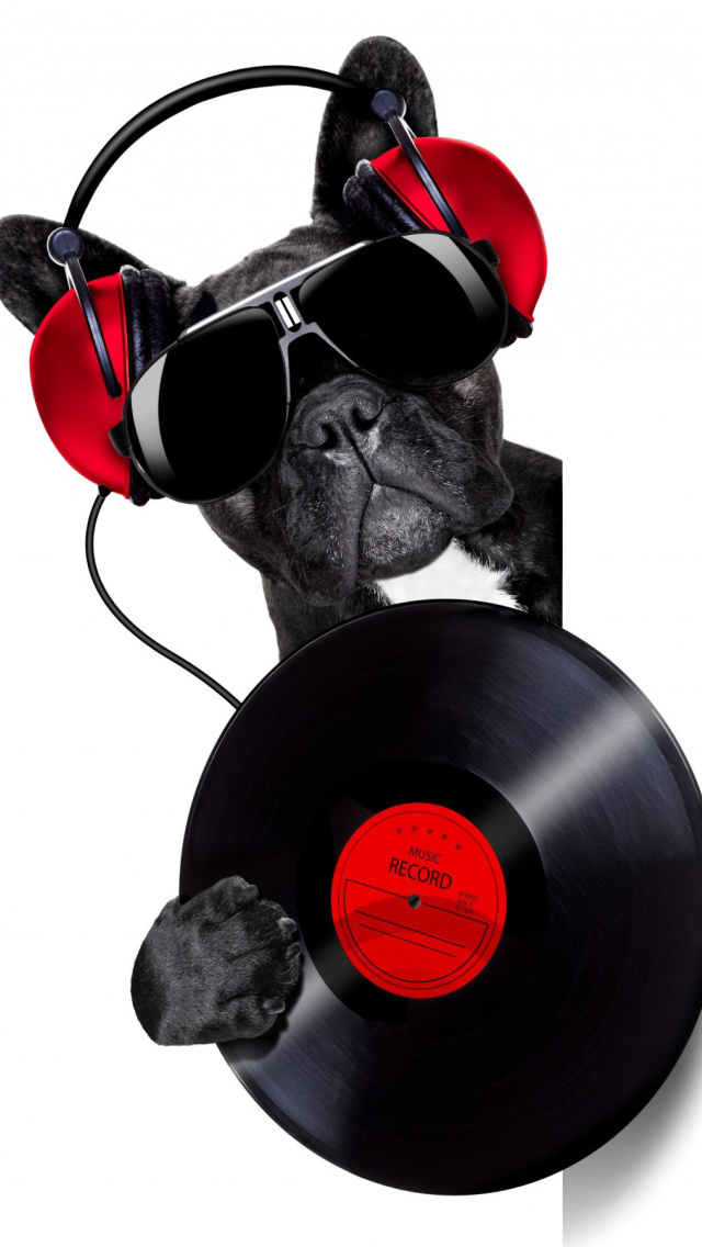 DJ Dog wallpaper 640x1136