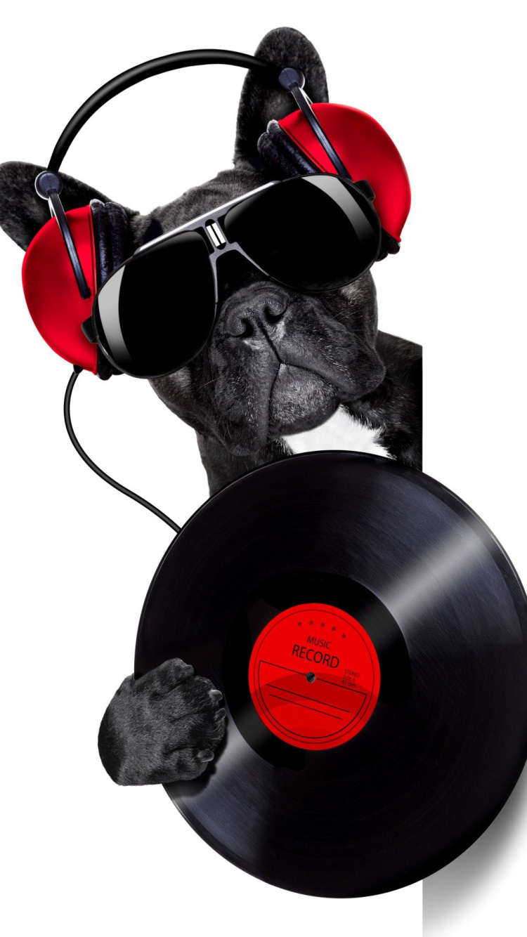 Das DJ Dog Wallpaper 750x1334