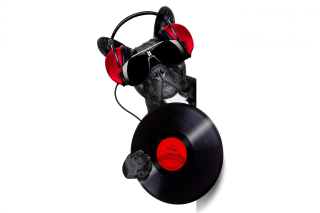 DJ Dog Picture for Android, iPhone and iPad