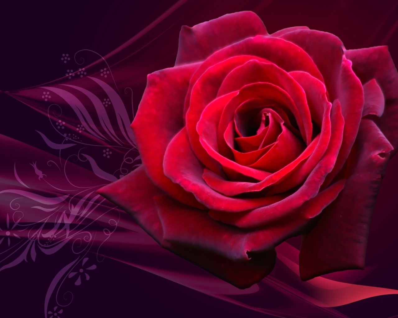Das Red Rose Wallpaper 1280x1024