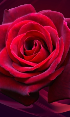 Red Rose screenshot #1 240x400