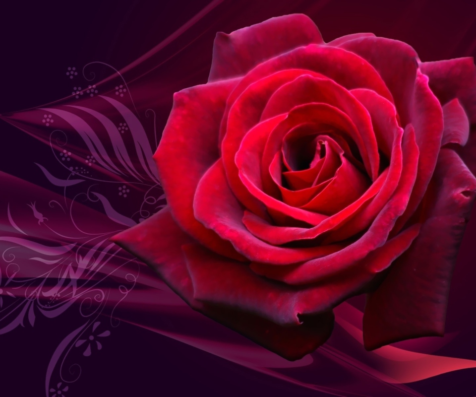 Screenshot №1 pro téma Red Rose 960x800