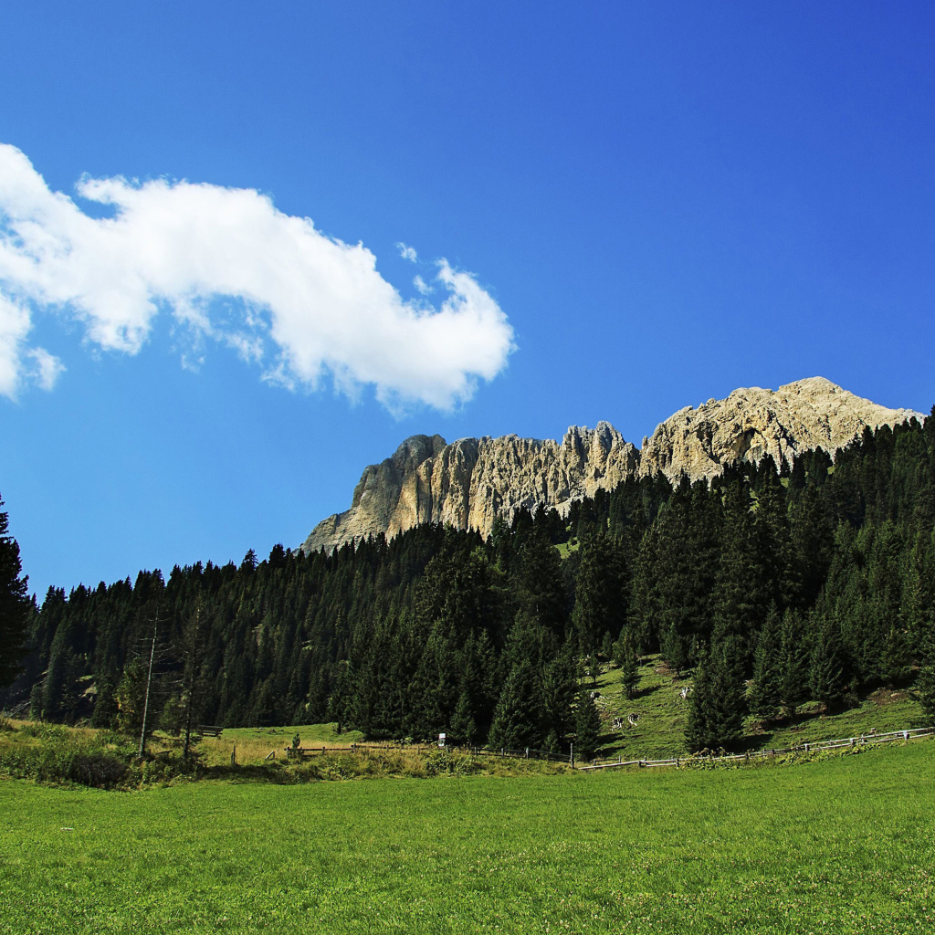 Sfondi Summer Day in Forest Mountains 1024x1024