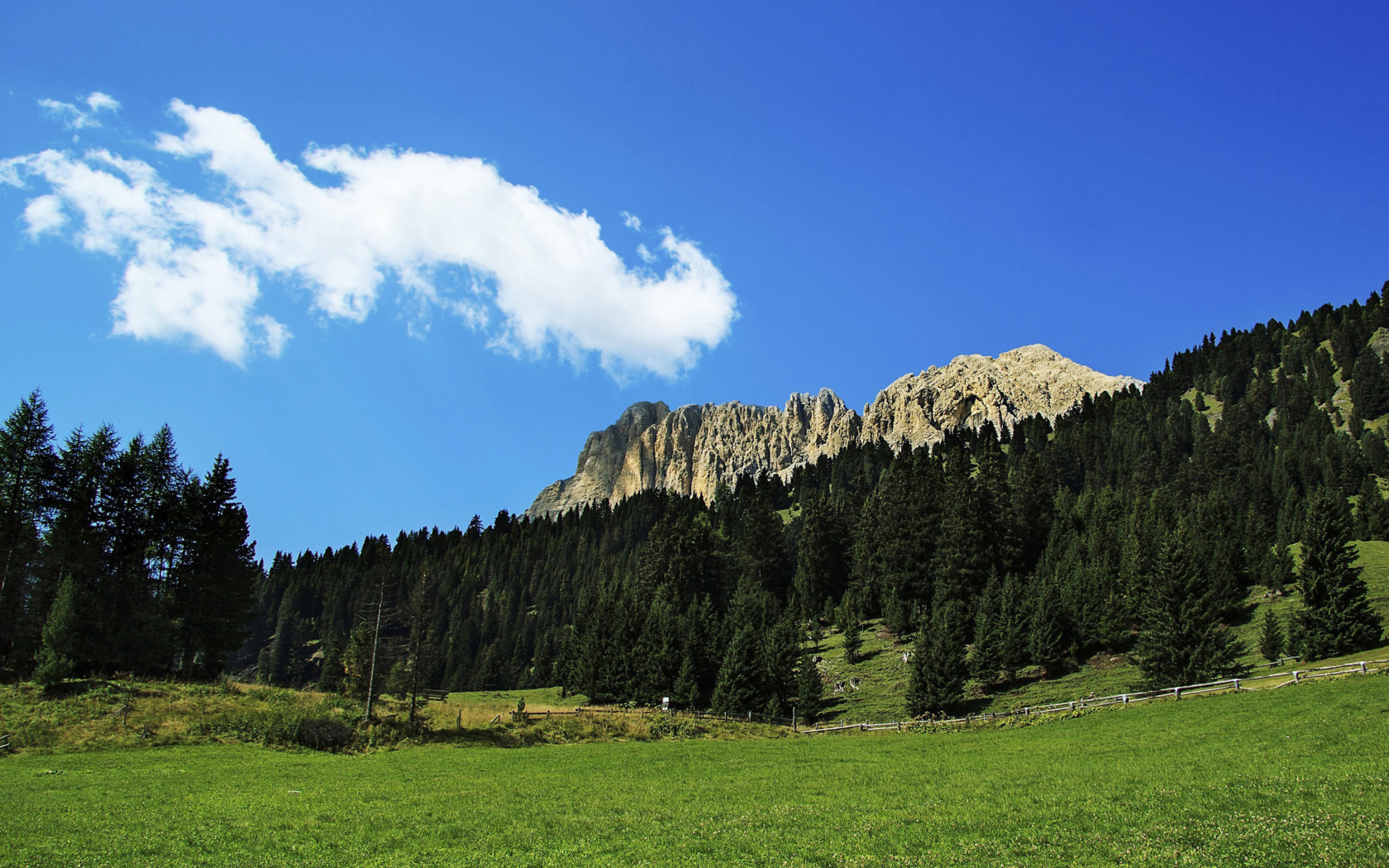 Fondo de pantalla Summer Day in Forest Mountains 1680x1050