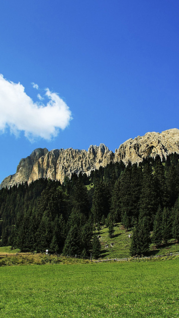 Summer Day in Forest Mountains screenshot #1 360x640