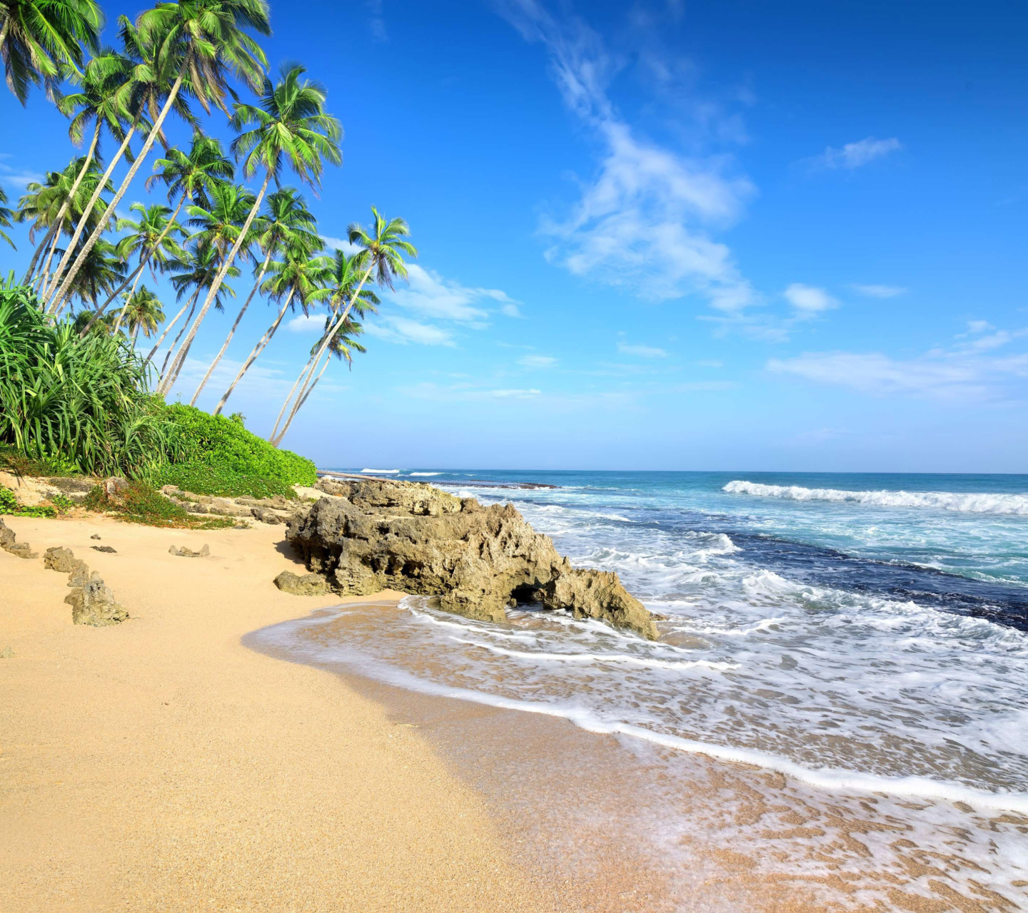 Обои Caribbean Best Tropic Beach Magens Bay Virgin Islands 1440x1280