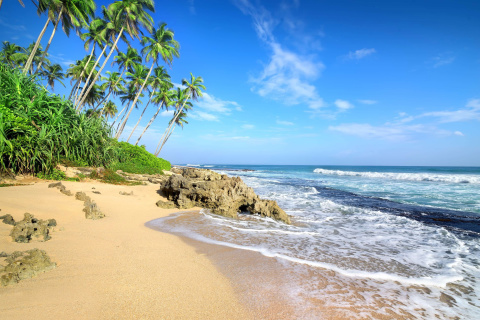Обои Caribbean Best Tropic Beach Magens Bay Virgin Islands 480x320