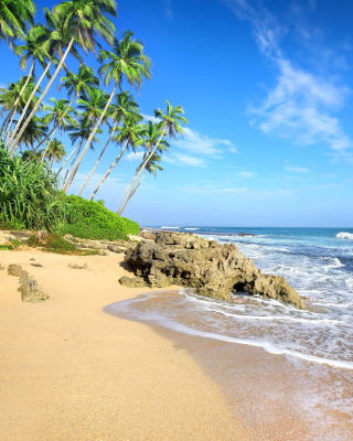 Caribbean Best Tropic Beach Magens Bay Virgin Islands sfondi gratuiti per iPhone 6 Plus