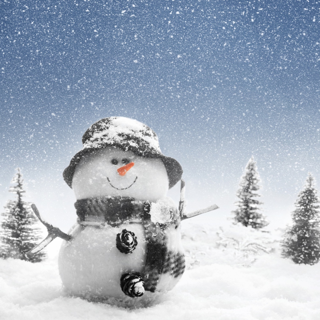 Das New Year Snowman Wallpaper 1024x1024