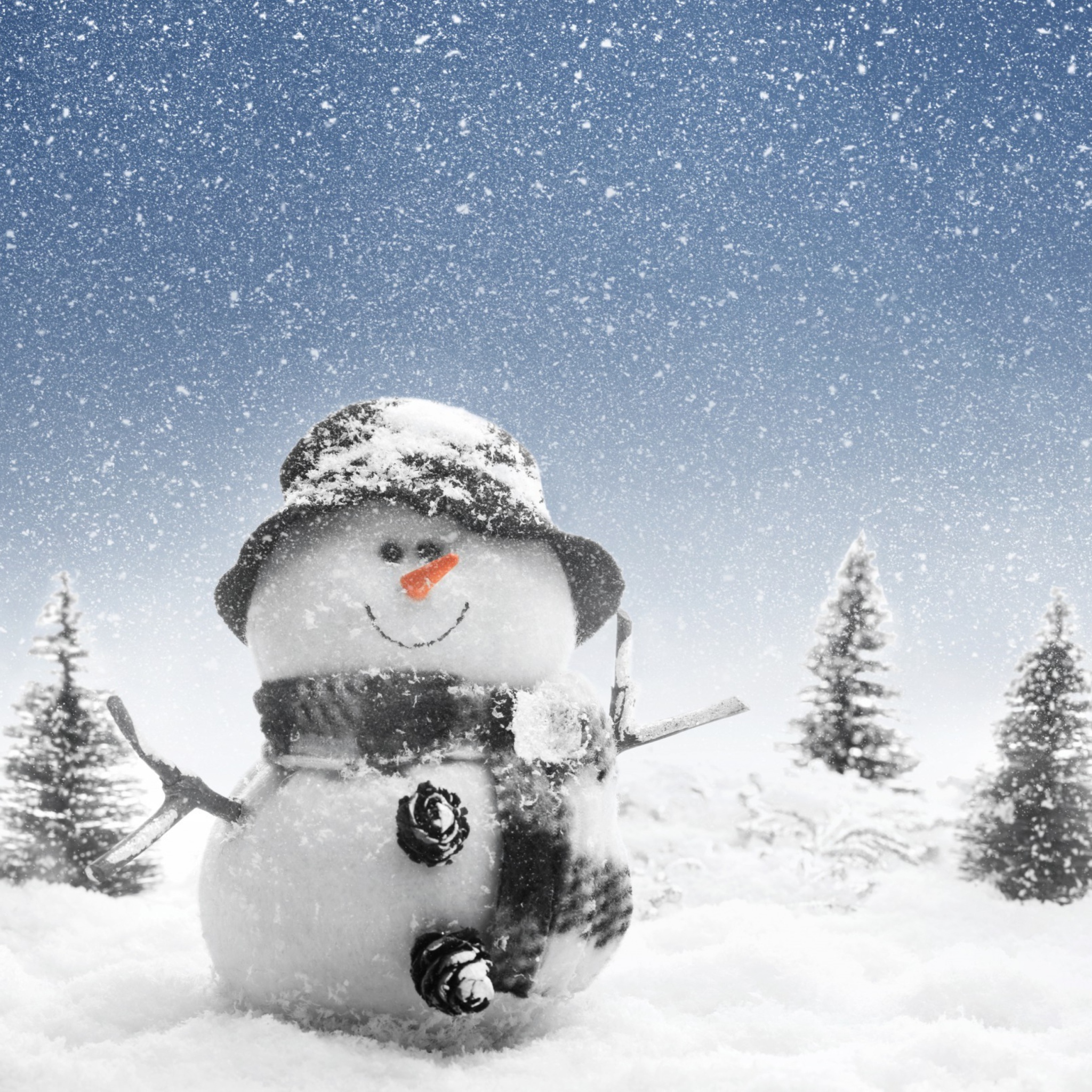 New Year Snowman wallpaper 2048x2048