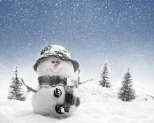 Das New Year Snowman Wallpaper 220x176